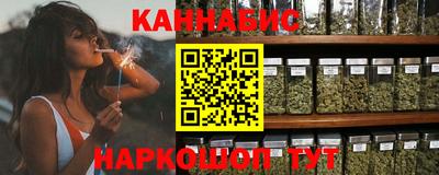 гашик Моздок