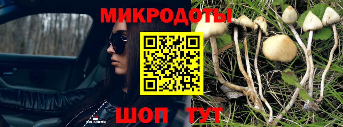 Галлюциногенные грибы Psilocybe  Вход с VPN  где найти   Галлюциногенные грибы ЛСД  Долгопрудный 